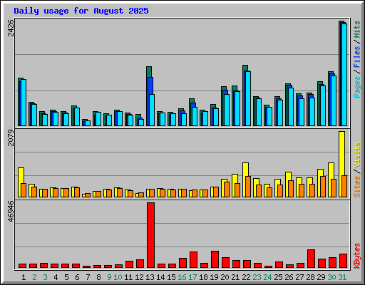 Daily usage for August 2025