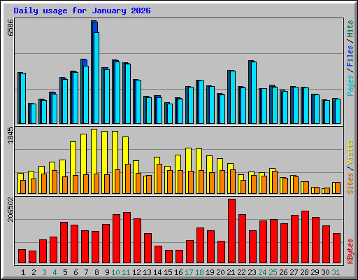 Daily usage for January 2026