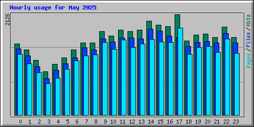 Hourly usage for May 2025
