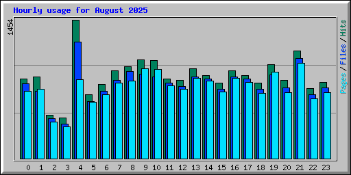Hourly usage for August 2025