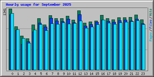 Hourly usage for September 2025