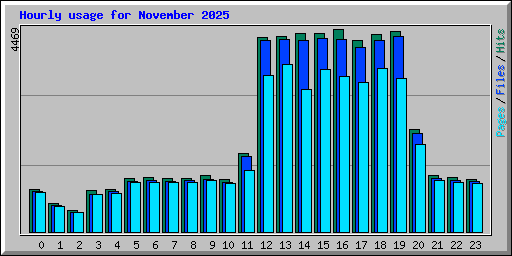 Hourly usage for November 2025