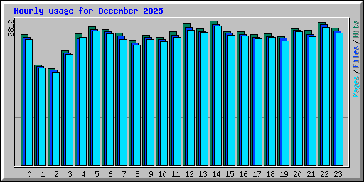 Hourly usage for December 2025