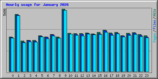Hourly usage for January 2026