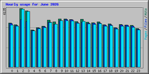Hourly usage for June 2026