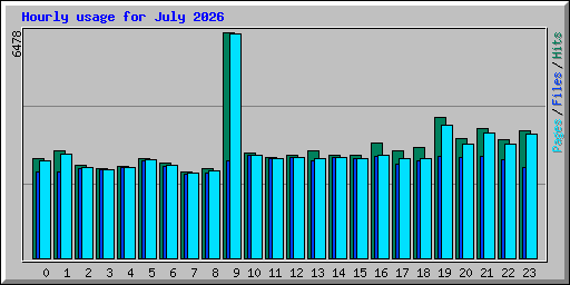 Hourly usage for July 2026